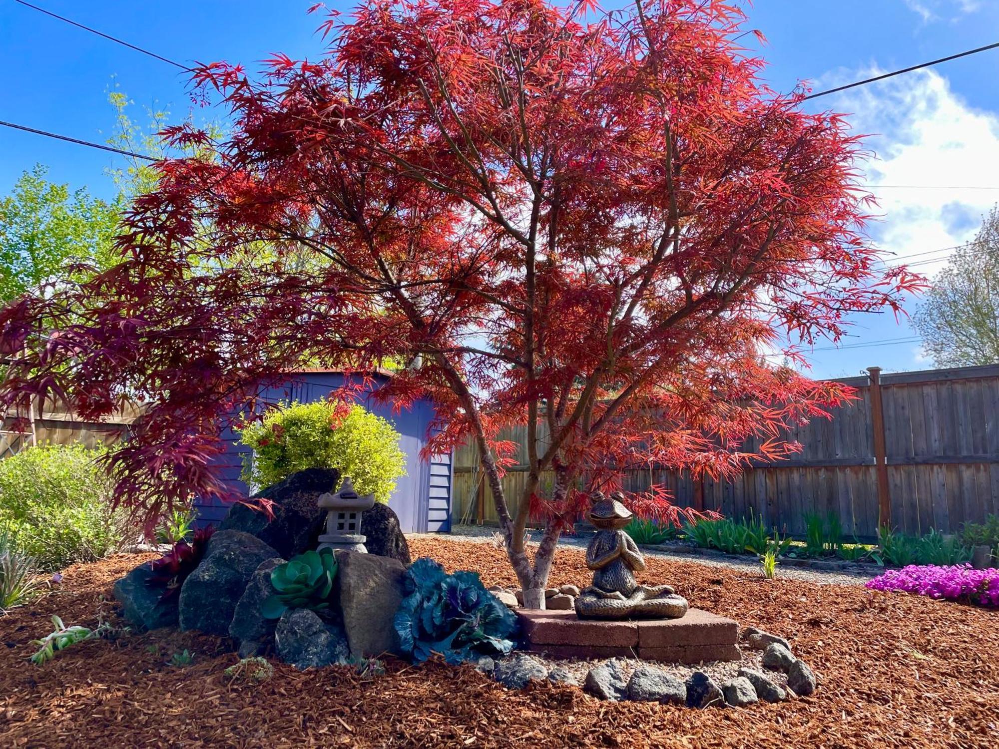 Colorful 50'S Ranch In The Heart Of Eugene Βίλα Εξωτερικό φωτογραφία